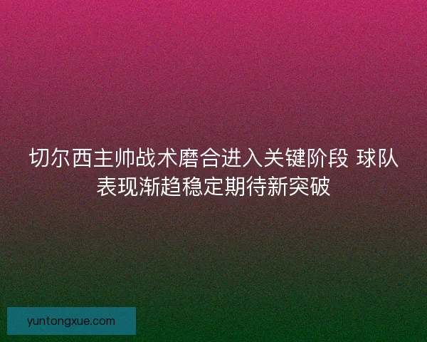 切尔西主帅战术磨合进入关键阶段 球队表现渐趋稳定期待新突破